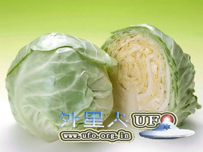 芥菜补钙胜牛奶 4款蔬菜补钙食谱 - 外星人UFO真相_说飞碟探索ET外星人_揭秘不明飞行物之谜的网站 芥菜补钙胜牛奶 4款蔬菜补钙食谱 - 外星人UFO真相_说飞碟探索ET外星人_揭秘不明飞行物之谜的网站