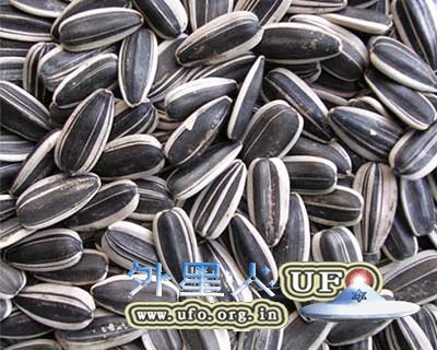 5种食物补脑御寒 三九天必备的图片 第2张