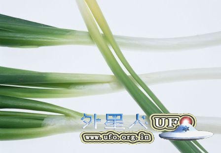 常吃大葱有七大神效 壮阳补阴的图片 第2张