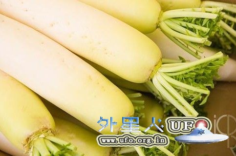 冬季必备食物:冬吃白萝卜的6大好处的图片 第1张 冬季必备食物:冬吃白萝卜的6大好处的图片 第1张