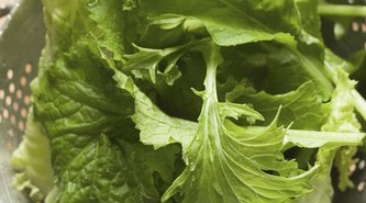 十五种能抗癌的天然食物