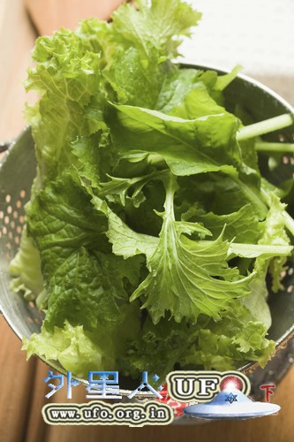 十五种能抗癌的天然食物的图片
