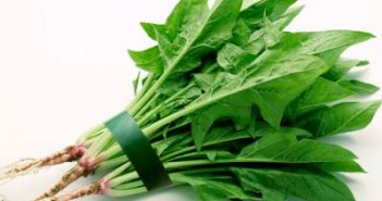 7种食物能当药吃 菠菜保护前列腺