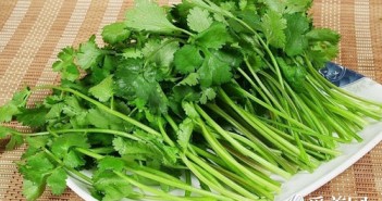 9种食物强韧秀发头发不再掉