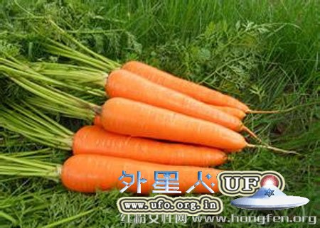 生活中常吃15种养生食物最能给肠道排毒的图片 第5张