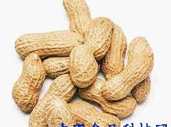 养生：花生 鱼类 辣椒秋季11种超补脑的黄金食物
