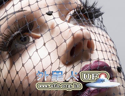 胡萝卜注意8点吃得更营养的图片 胡萝卜注意8点吃得更营养的图片