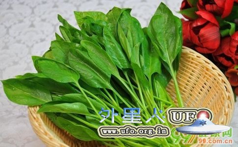 女性春季最养生的食物是什么的图片 女性春季最养生的食物是什么的图片