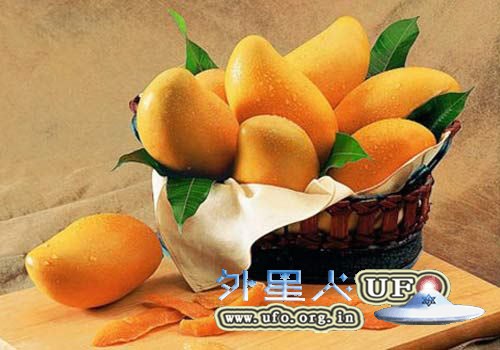 头发也“嘴馋”？水果让秀发避免干燥！的图片 第1张