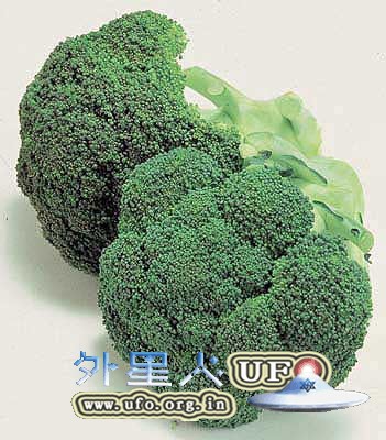 花椰菜的无敌营养你知道吗?的图片 第1张