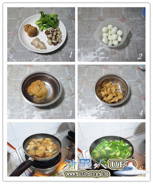玉珠猴头菇的图片 第1张