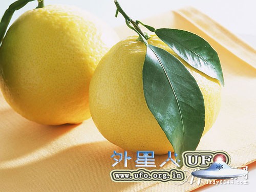 冬天吃什么好? 最适合冬季滋补的8种食物的图片 冬天吃什么好? 最适合冬季滋补的8种食物的图片
