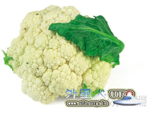 冬天吃什么好? 最适合冬季滋补的8种食物的图片 冬天吃什么好? 最适合冬季滋补的8种食物的图片