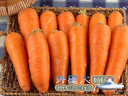 冬天吃什么好? 最适合冬季滋补的8种食物的图片 冬天吃什么好? 最适合冬季滋补的8种食物的图片