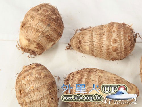 冬天吃什么好? 最适合冬季滋补的8种食物的图片 冬天吃什么好? 最适合冬季滋补的8种食物的图片