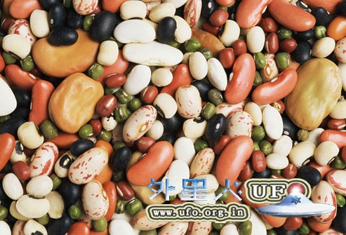 饮食养生：带皮吃黑豆 明显改善贫血的图片 第1张