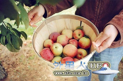 饮食养生：带皮吃黑豆 明显改善贫血的图片 第2张