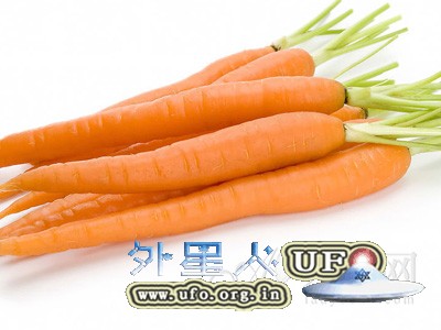 胡萝卜的8大营养功效逐个点的图片 第1张 胡萝卜的8大营养功效逐个点的图片 第1张