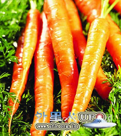 胡萝卜的8大营养功效逐个点的图片