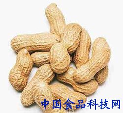 养生:花生 鱼类 辣椒秋季11种超补脑的黄金食物的图片 第1张 养生:花生 鱼类 辣椒秋季11种超补脑的黄金食物的图片 第1张