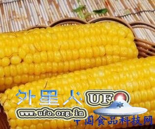 养生：花生 鱼类 辣椒秋季11种超补脑的黄金食物的图片 第2张