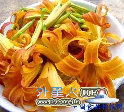 养生：花生 鱼类 辣椒秋季11种超补脑的黄金食物的图片