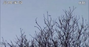 2016年3月20日地球现在能造出这样功能的民航飞机吗？