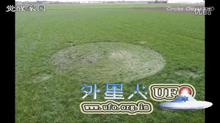 2016年4月8日荷兰麦田圈的图片