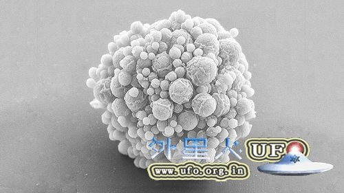 科学家合成最新细菌只有473个基因的图片 科学家合成最新细菌只有473个基因的图片