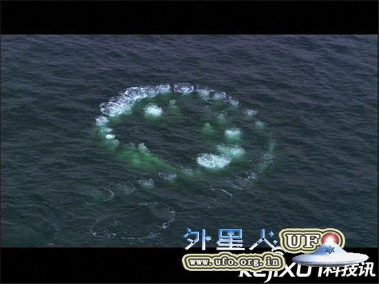 NASA发回地球最新照片 称中国海域疑似出现UFO 第2张