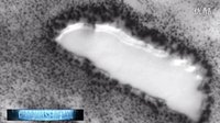 NASA公布的太阳表面异常照片