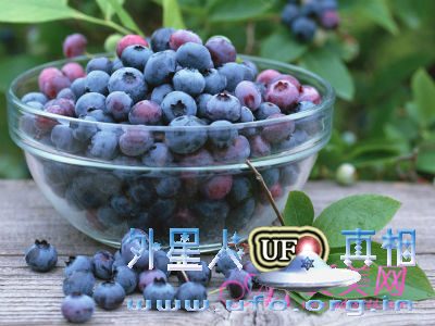 养生保健：大脑最爱6种营养 精力充沛到周末的图片 第1张
