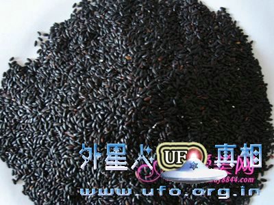 养生保健：大脑最爱6种营养 精力充沛到周末的图片 第2张