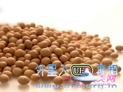 养生保健:大脑最爱6种营养 精力充沛到周末的图片 第1张 养生保健:大脑最爱6种营养 精力充沛到周末的图片 第1张