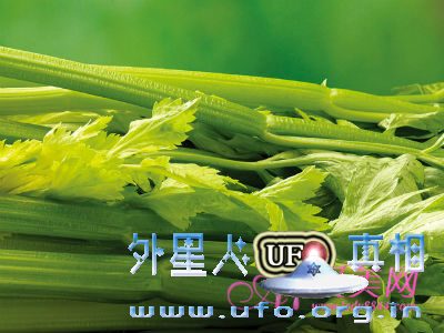 养生保健:大脑最爱6种营养 精力充沛到周末的图片 第1张 养生保健:大脑最爱6种营养 精力充沛到周末的图片 第1张