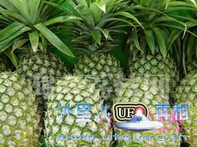 养生保健：大脑最爱6种营养 精力充沛到周末的图片 第2张
