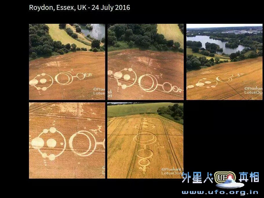 2-roydon-british-crop-circles-24-july-2016 2-roydon-british-crop-circles-24-july-2016