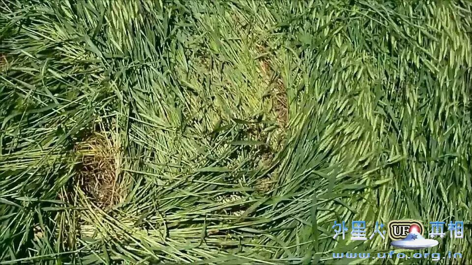 10-baxi-mai-tian-quan-2016-9-21 第10张