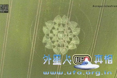 盘点2016年夏天神秘出现的23个英国麦田怪圈的图片 第4张 盘点2016年夏天神秘出现的23个英国麦田怪圈的图片 第4张