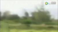男子在野外放牛 意外拍下椭圆状疑似UFO物体