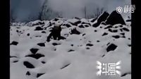 惊恐！村民拍到UFO停在山顶的图片