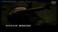 1986年日本货机遭遇ufo，世界最接近真像的一次ufo事件的图片