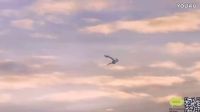 怪异的抓怕：奇怪的UFO出现在空中的图片