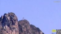 相机抓拍到难以置信的UFO着陆的图片