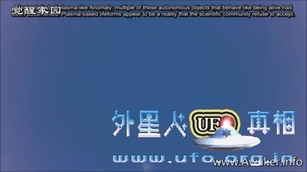 佛罗里达奇特发光物2017年3月2日的图片