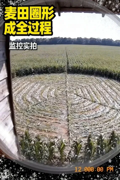 【实拍还原】麦田圈成形实录：监控直录，白天夜晚细节全公开！